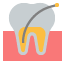 Endodonzia